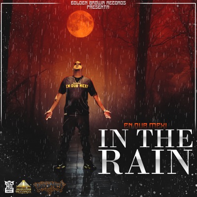 In the Rain - Single