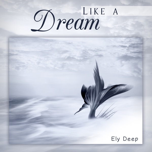 Like a Dream