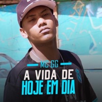 A Vida de Hoje Em Dia (feat. DJ WJ) - Single - MC GG