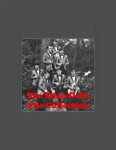 The Shandells: песни, клипы, биография, даты выступлений и многое другое.