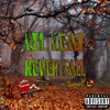 Never Fall - EP