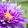 111 Countdown to Zen Mind: Over 6 Hours of Music for Peaceful Mind - Various Artists