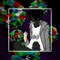 Watashi - Soul Boy lyrics