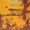 Drop Some Drums (Almir Ljusa Remix) - Arnold lyrics