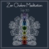 Zen New Age Sanxian Music