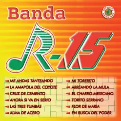 Arreando la Mula - Banda R-15 Arreando la Mula - Banda R-15