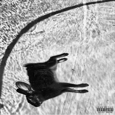 Orchid (feat. Killstation) - Single