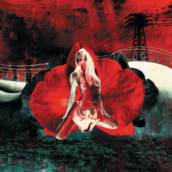 Cover artwork for Wishbone