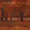 Beneath the Starry Night - David Tolk lyrics