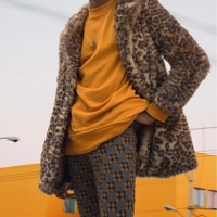 Junglecat/Firebyrd - Single - Ehiorobo