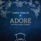 Adore (Live) artwork