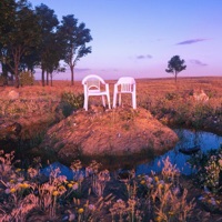 APHASIA (feat. Hoody) - Single - MOON YIRANG