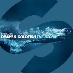 The Storm - Single - Goldfish