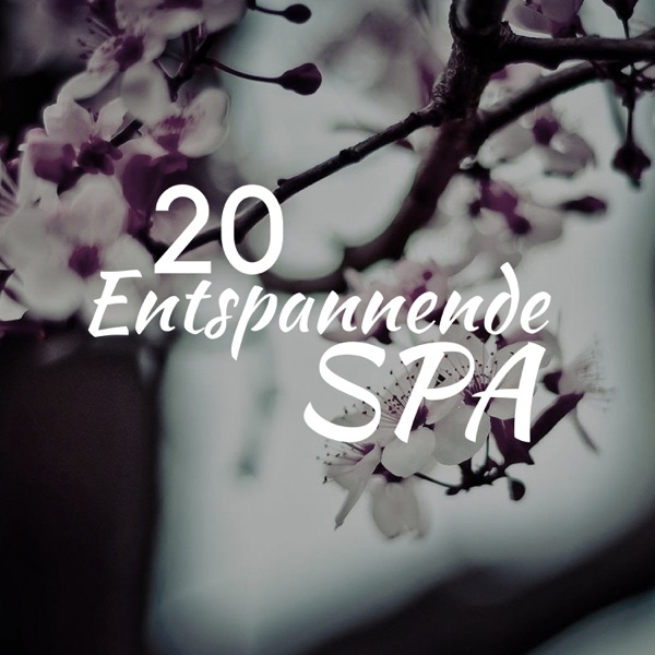 20 Entspannende Spa - Entspannende Musik der Ruhe und Entspannung, an dem Körper, Seele und Geist in Einklang kommen
