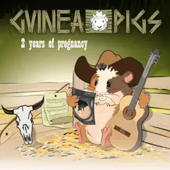 2 Years of Pregnancy - The Guinea Pigs