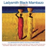 Ladysmith Black Mambazo - Homeless (feat. Paul Simon)