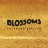 Blossoms - Charlemagne