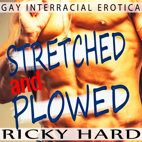 Gay Interracial Erotica - Stretched and Plowed (Unabridged) cover