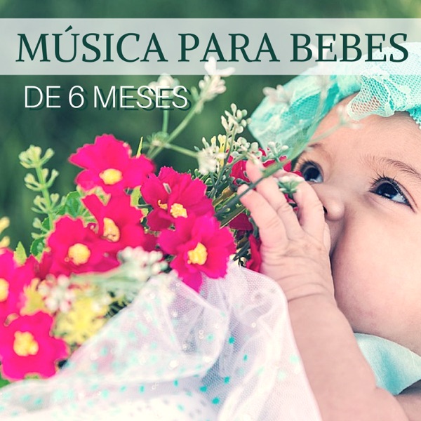 Música para Bebés de 6 Meses: Larga Duración para Dormir y Calmar al Bebé