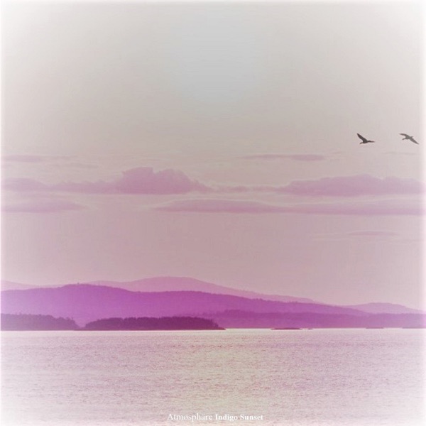 Indigo Sunset