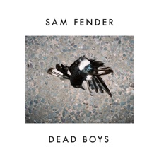 Dead Boys artwork