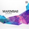 Marimbas (DJ Fist Tremendo Remix) - John Kirk lyrics