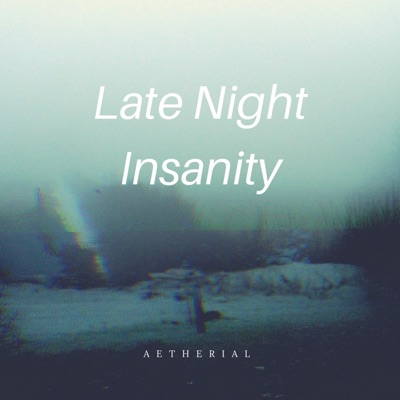 Late Night Insanity - Single