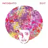 Incognito - Craziest High (feat. Bluey)