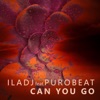 Can You Go (feat. Puro Beat) - Single