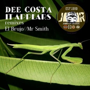 It Appears (Remixes) - Single