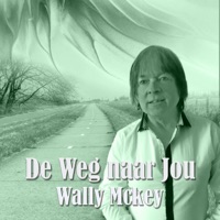 De weg naar jou