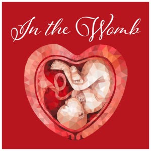 In the Womb: Sounds of Heartbeat to Calm Your Newborn Baby