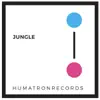 Stream & download Jungle - Single