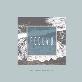 Feel4u (feat. Will Rosey) Vizehtm