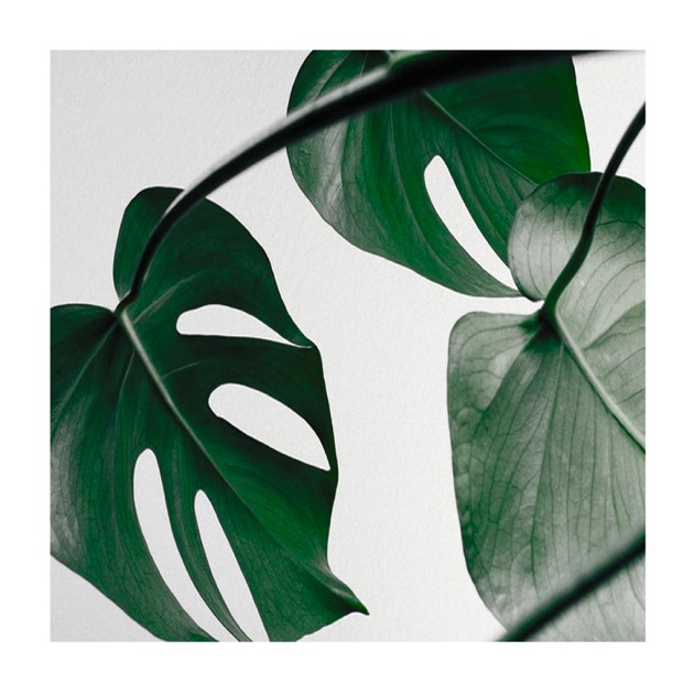 Lost Tape - GREEN ASSASSIN DOLLARのアルバム - Apple Music