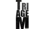 A Batida Pesada (feat. T.A.T.E Eclesiastes) - Triagem & Fabio Torres lyrics