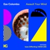 Assault Your Mind (Floating Version) cover art
