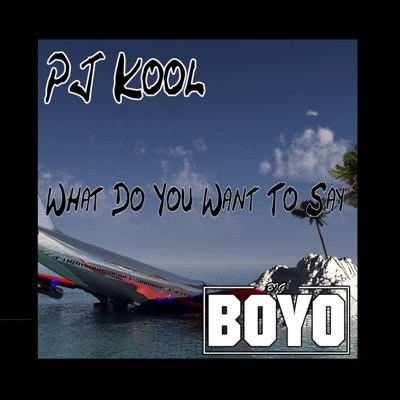 What Do You Want to Say - Single