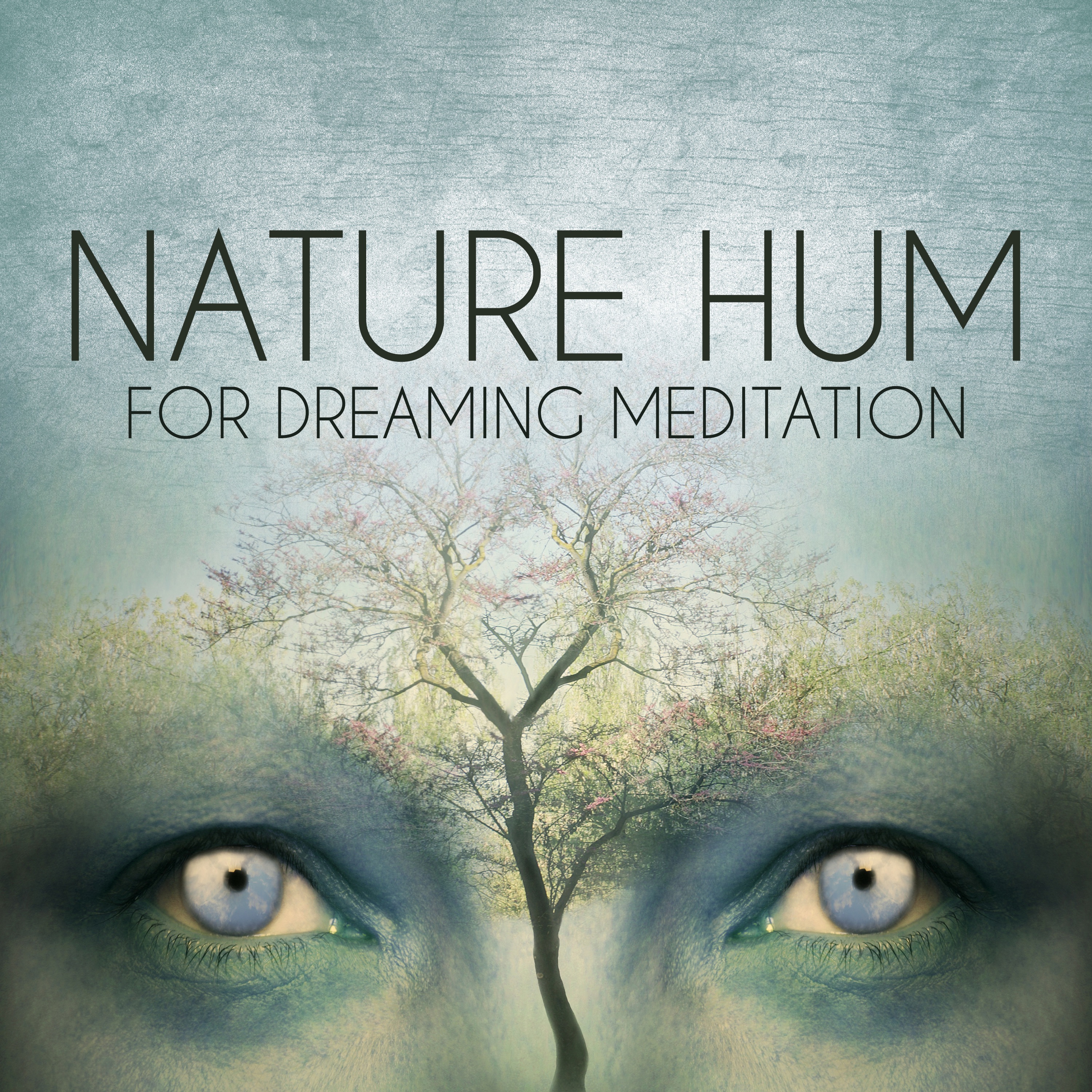 Nature Hum for Dreaming Meditation – Relaxation, Inner Peace, Serenity & Calmness