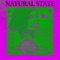 Dated - Natural State lyrics