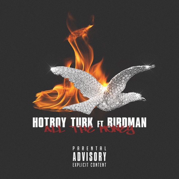 All the Money (feat. Birdman) - Single - Hot Boy Turk