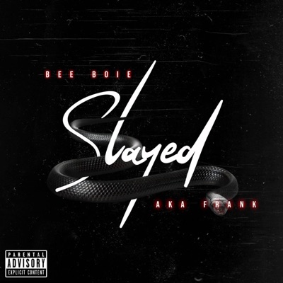 Slayed (feat. AkaFrank) - Single