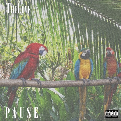 Pause - Single