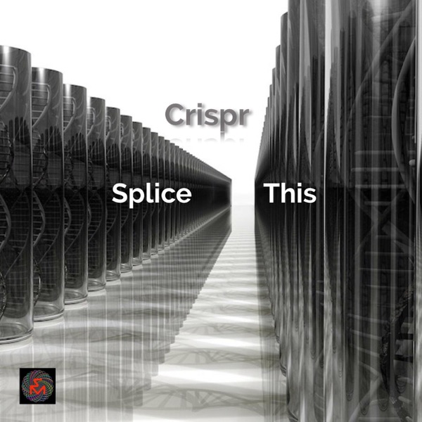 Splice This - Single - CRISPR