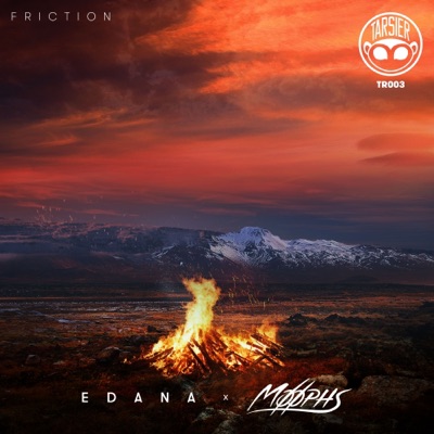 Friction - Single