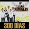 300 Días - Los Animales lyrics