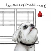 The Best of Smallroom 2 artwork