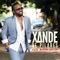 Ah! Como Eu Amei - Xande de Pilares lyrics