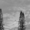Cosmic Boys - Elija Heartfall lyrics