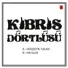 Herşeyin Yalan